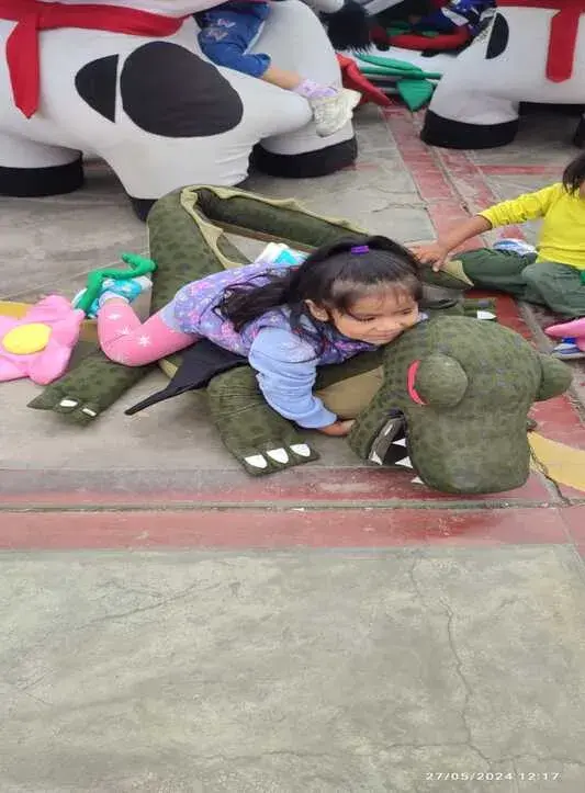 donacion-inabif