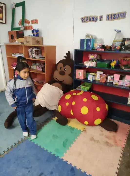 donacion-pronoei